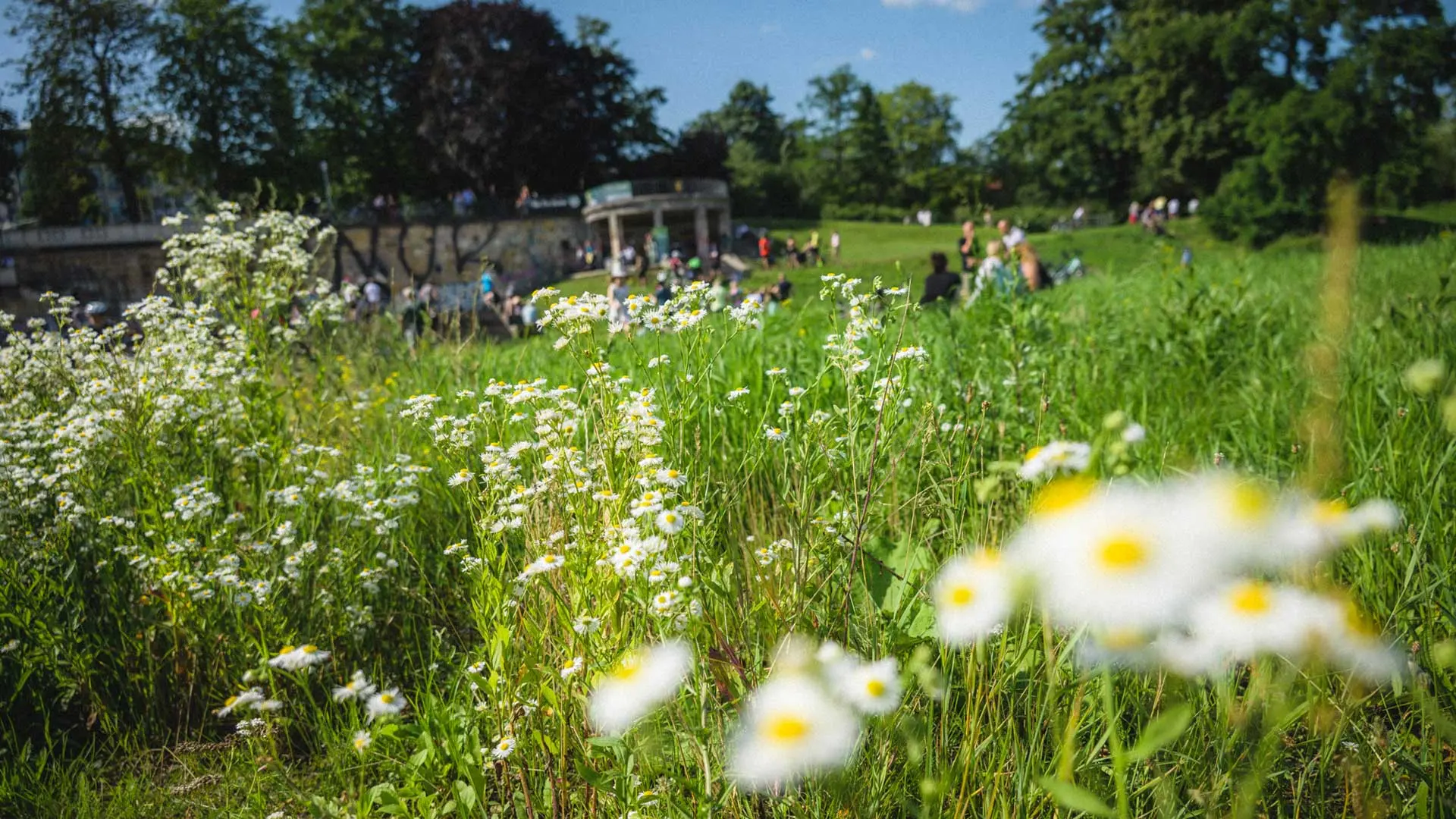 Kultur am Pavillon im Sommer